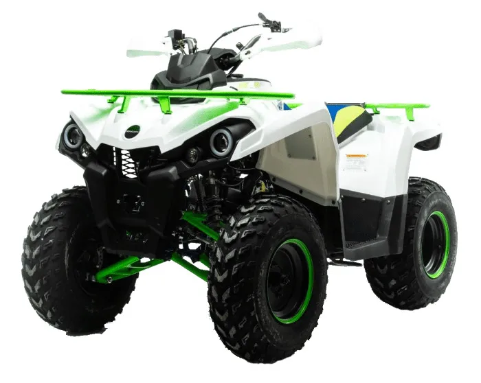 Квадроцикл MOTOLAND 200 Shark (2021 г.)