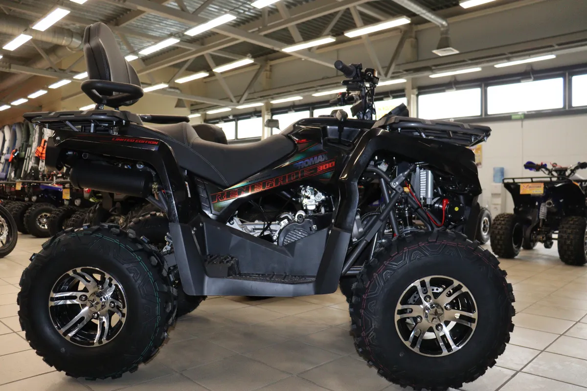 Квадроцикл PROMAX RENEGADE 280 LONG WINCH PRO
