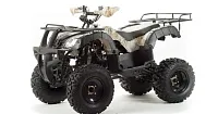 Квадроцикл HAMMER Hunter 300